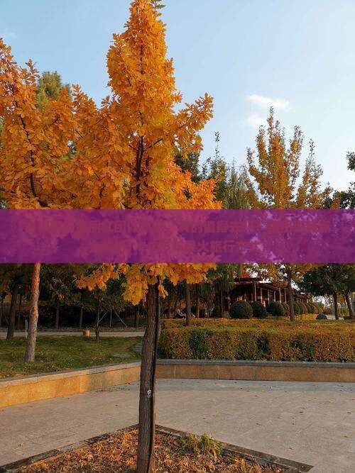 白银到云南丽江团体旅游