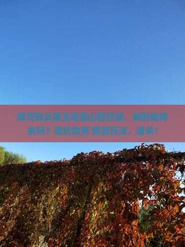 漯河到云南玉龙雪山四日游