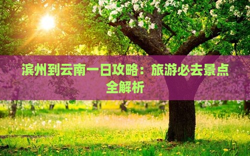 滨州到云南一日