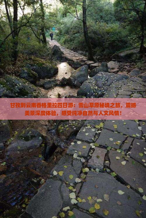甘孜到云南香格里拉四日游