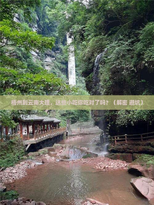梧州到云南大理旅游小吃