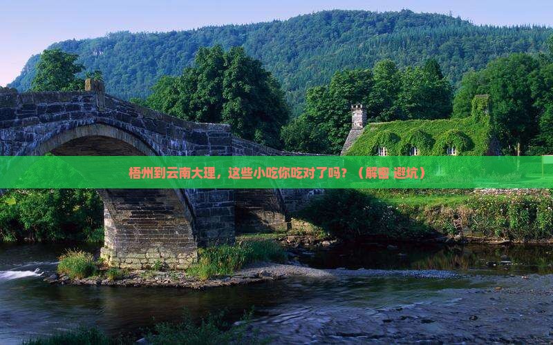 梧州到云南大理旅游小吃