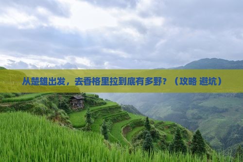 楚雄去云南香格里拉景点