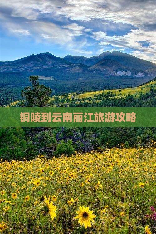 铜陵到云南丽江攻略
