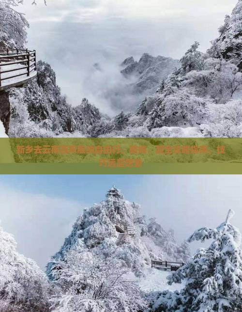 新乡去云南西双版纳自由行