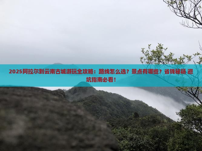 阿拉尔到云南古城哪里玩