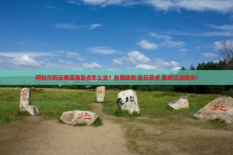 阿拉尔到云南洱海景点