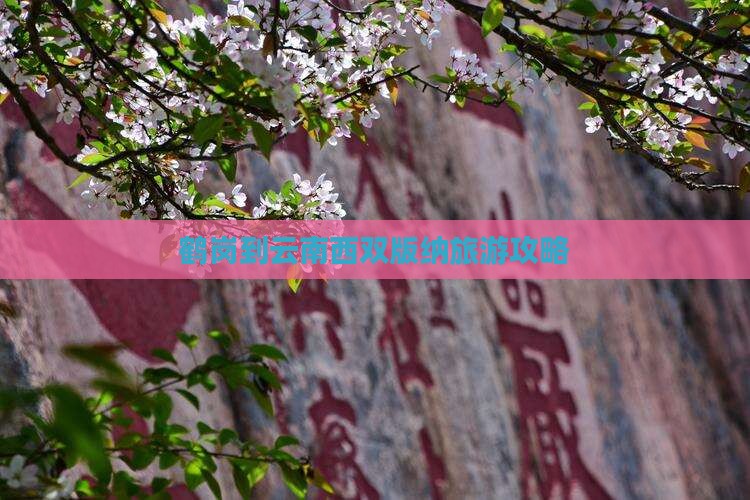 鹤岗到云南西双版纳旅游