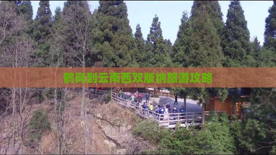 鹤岗到云南西双版纳旅游