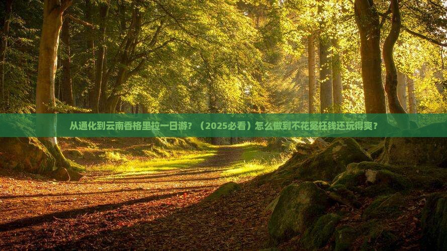 通化去云南香格里拉一日