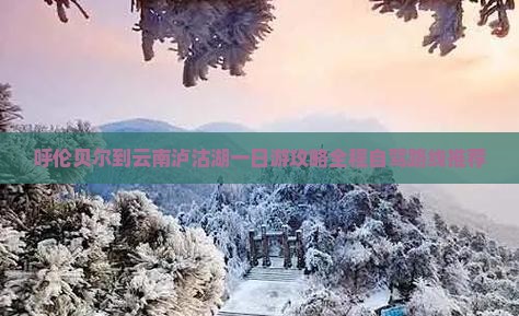 呼伦贝尔到云南泸沽湖一日