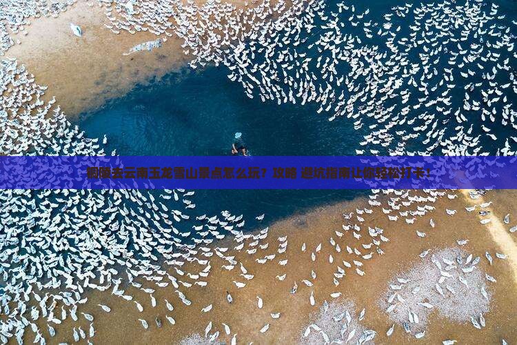 铜陵去云南玉龙雪山景点