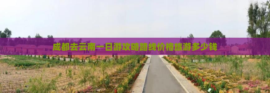 成都去云南一日
