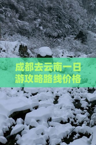 成都去云南一日