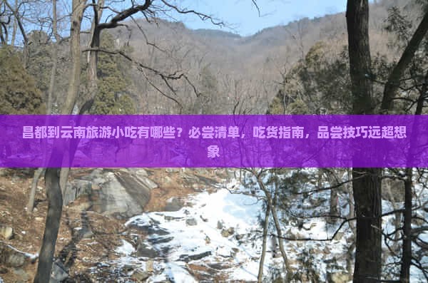 昌都到云南旅游小吃