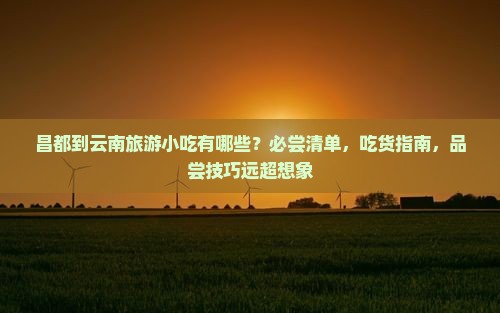昌都到云南旅游小吃