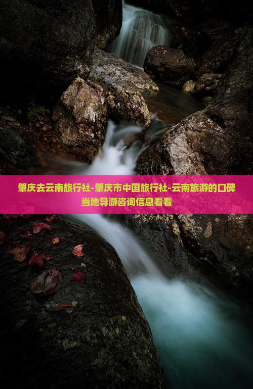 肇庆去云南旅行社-肇庆市中国旅行社-云南旅游的口碑当地导游咨询信息看看