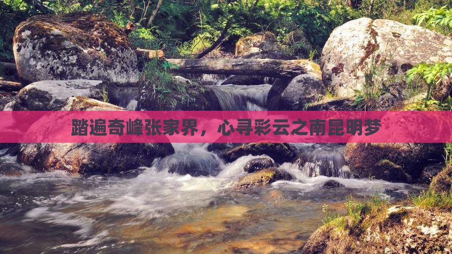 踏遍奇峰张家界，心寻彩云之南昆明梦