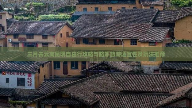 三月去云南昆明自由行攻略与路虾旅游适宜性及玩法推荐