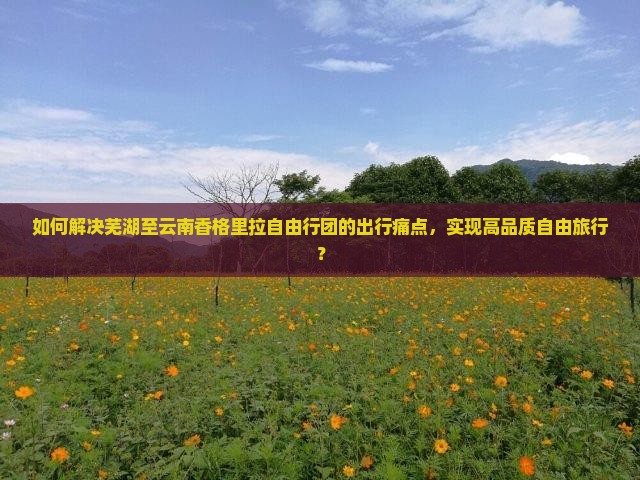 如何解决芜湖至云南香格里拉自由行团的出行痛点，实现高品质自由旅行？