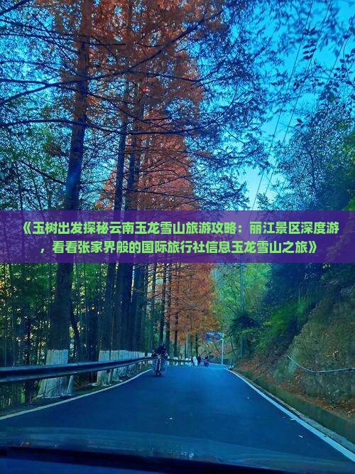 《玉树出发探秘云南玉龙雪山旅游攻略：丽江景区深度游，看看张家界般的国际旅行社信息玉龙雪山之旅》