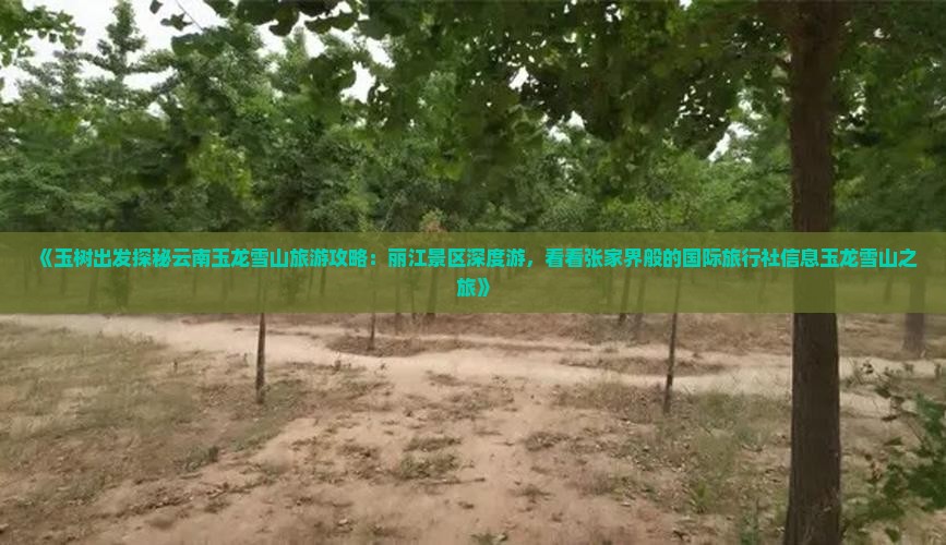 《玉树出发探秘云南玉龙雪山旅游攻略：丽江景区深度游，看看张家界般的国际旅行社信息玉龙雪山之旅》