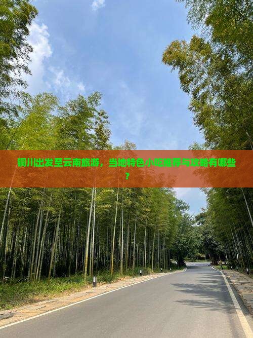 铜川出发至云南旅游，当地特色小吃推荐与攻略有哪些？