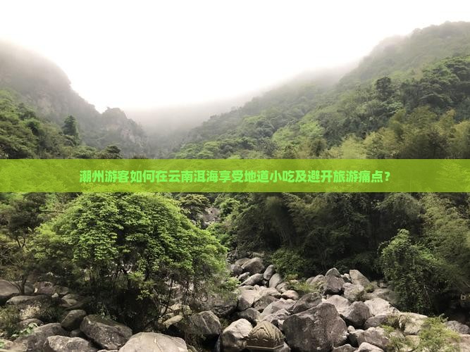潮州游客如何在云南洱海享受地道小吃及避开旅游痛点？
