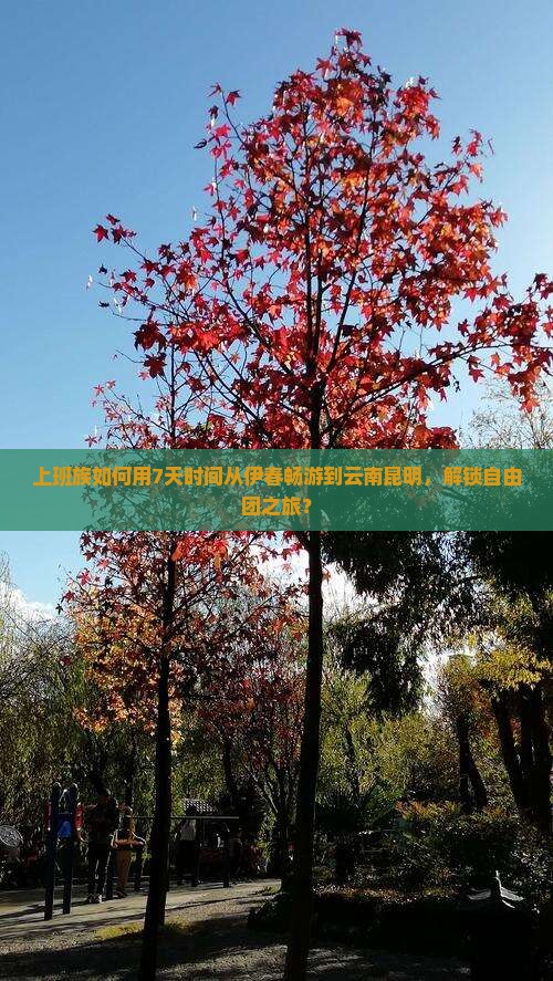 上班族如何用7天时间从伊春畅游到云南昆明，解锁自由团之旅？