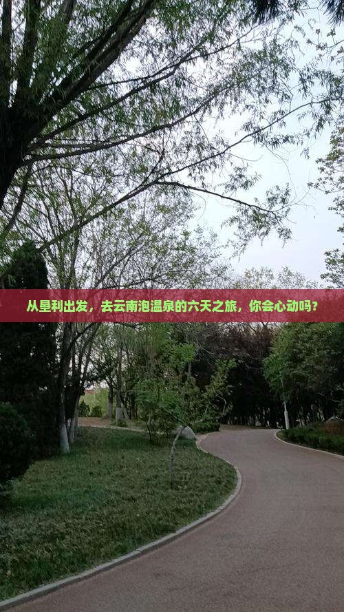 从垦利出发，去云南泡温泉的六天之旅，你会心动吗？