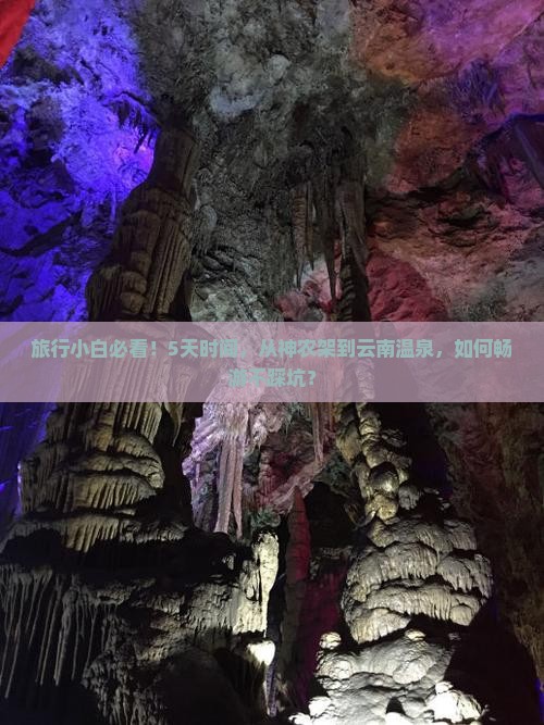 旅行小白必看！5天时间，从神农架到云南温泉，如何畅游不踩坑？