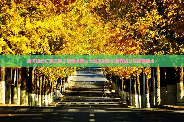 如何组织石家庄至云南香格里拉大型旅游团以避开旅游高峰期痛点？