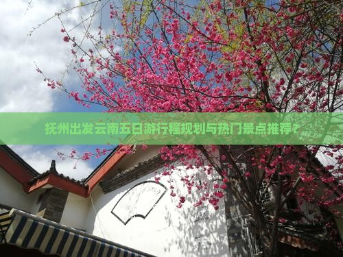 抚州出发云南五日游行程规划与热门景点推荐？