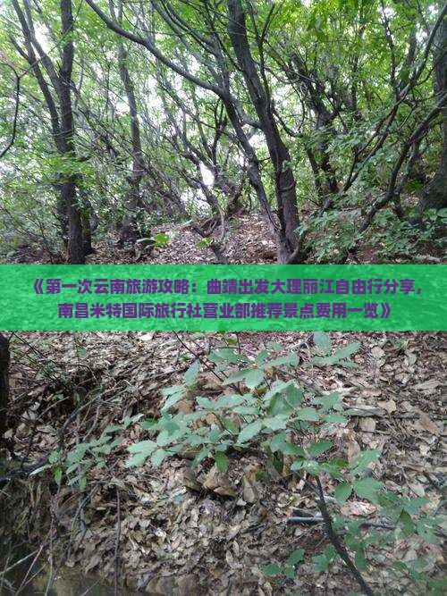 《第一次云南旅游攻略：曲靖出发大理丽江自由行分享，南昌米特国际旅行社营业部推荐景点费用一览》