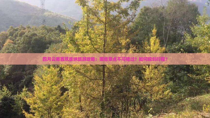 四月云南西双版纳旅游攻略：哪些景点不可错过？如何规划行程？
