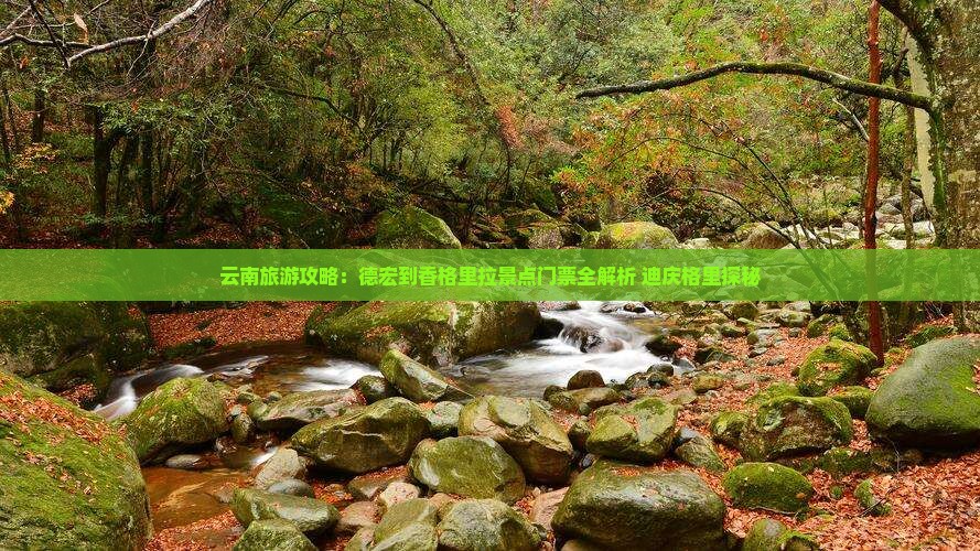 云南旅游攻略：德宏到香格里拉景点门票全解析 迪庆格里探秘