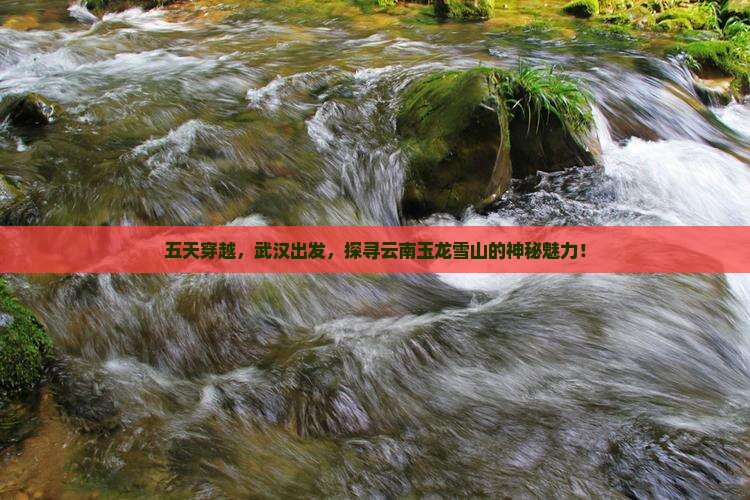 五天穿越，武汉出发，探寻云南玉龙雪山的神秘魅力！