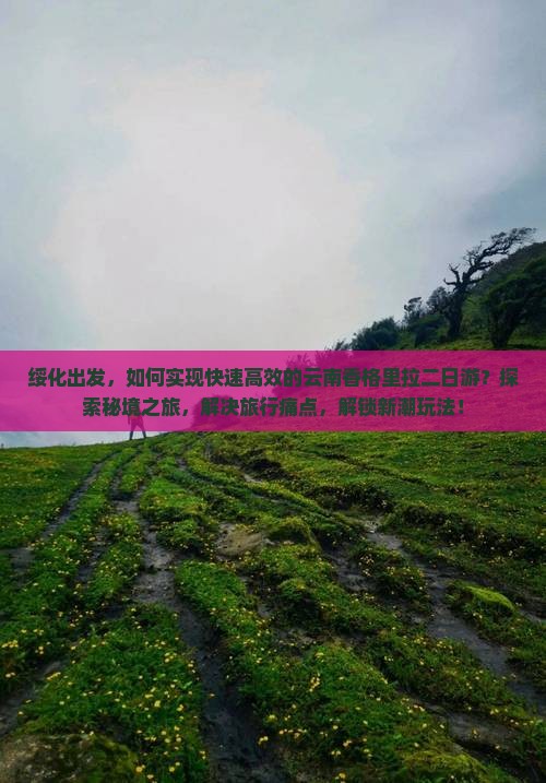 绥化出发，如何实现快速高效的云南香格里拉二日游？探索秘境之旅，解决旅行痛点，解锁新潮玩法！