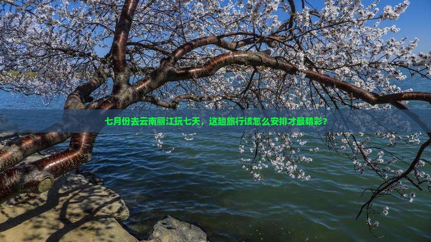 七月份去云南丽江玩七天，这趟旅行该怎么安排才最精彩？