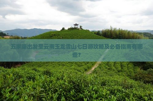 五家渠出发至云南玉龙雪山七日游攻略及必备指南有哪些？