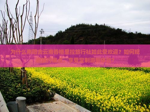 为什么南阳去云南香格里拉旅行社如此受欢迎？如何规避旅行痛点，享受定制游新体验？