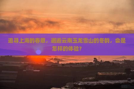 追寻上海的春意，邂逅云南玉龙雪山的冬韵，会是怎样的体验？