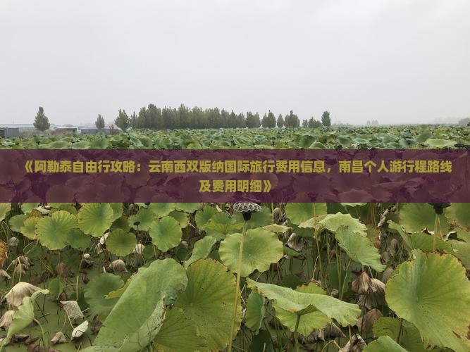 《阿勒泰自由行攻略：云南西双版纳国际旅行费用信息，南昌个人游行程路线及费用明细》