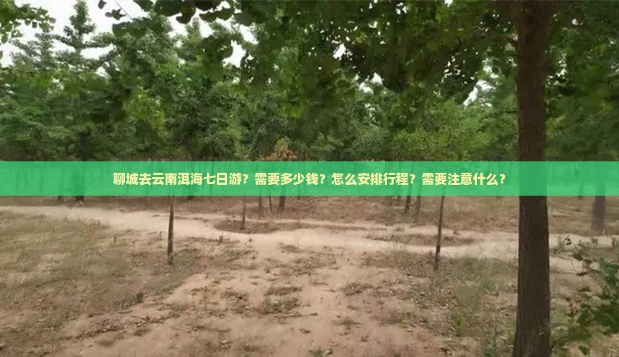 聊城去云南洱海七日游？需要多少钱？怎么安排行程？需要注意什么？