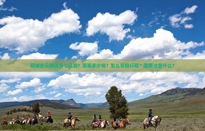 聊城去云南洱海七日游？需要多少钱？怎么安排行程？需要注意什么？