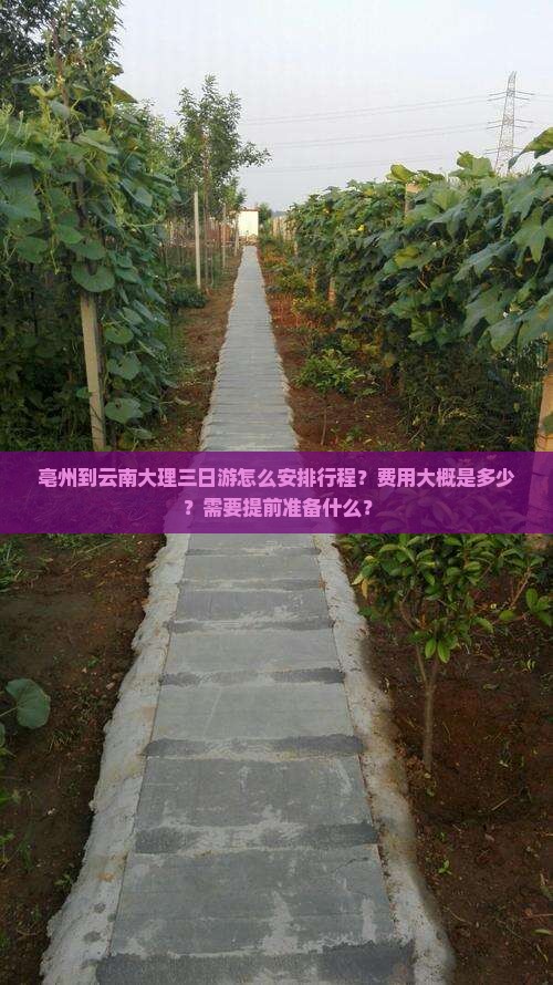 亳州到云南大理三日游怎么安排行程？费用大概是多少？需要提前准备什么？