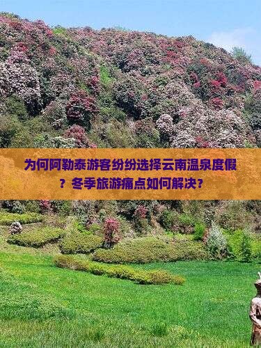 为何阿勒泰游客纷纷选择云南温泉度假？冬季旅游痛点如何解决？
