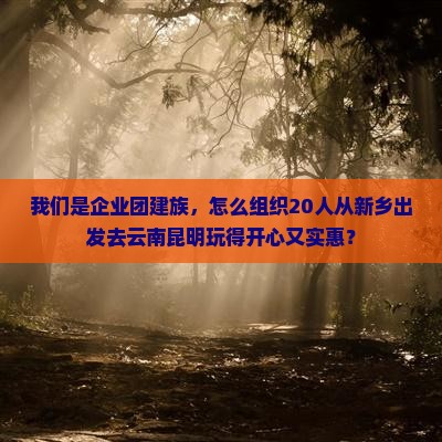 我们是企业团建族，怎么组织20人从新乡出发去云南昆明玩得开心又实惠？