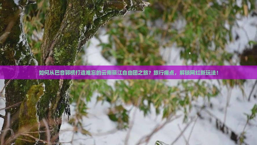 如何从巴音郭楞打造难忘的云南丽江自由团之旅？旅行痛点，解锁网红新玩法！