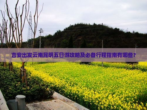吉安出发云南昆明五日游攻略及必备行程指南有哪些？